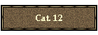 Cat. 12