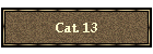 Cat. 13