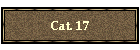 Cat. 17